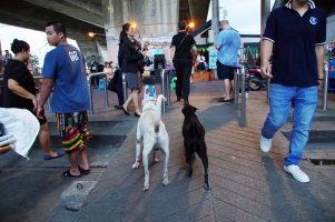 BANGKOK – Saphan Taksin