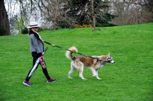 LONDON – Hyde Park